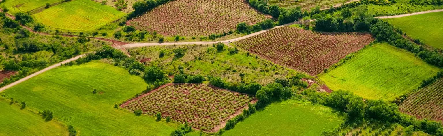 image of a field